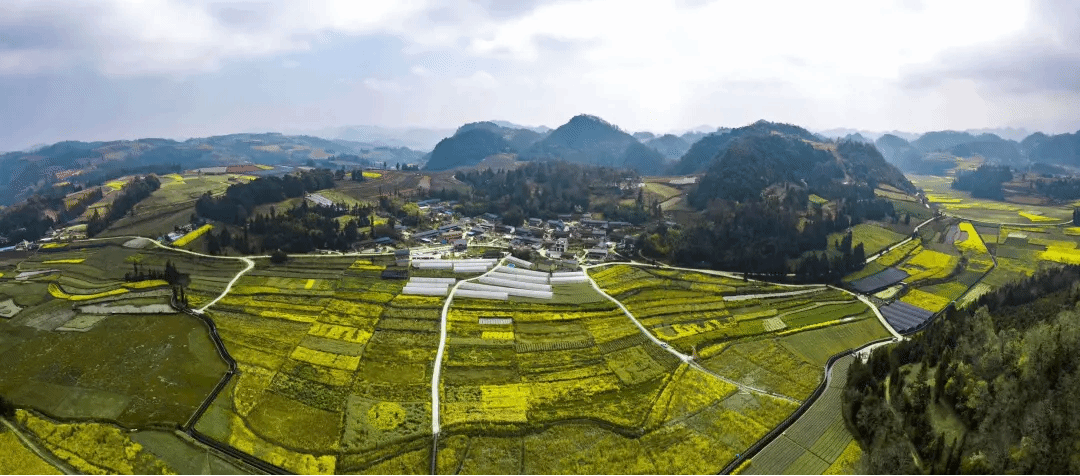 冰球突破-冰球电游奢华版_MG冰球游戏