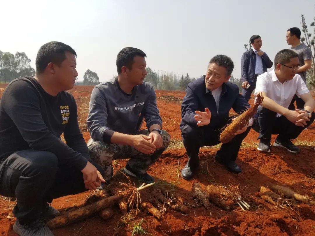 FDE740F93D962E8306716C93921_C23194AA_1D2FD.jpg?e= 冰球突破-冰球电游奢华版_MG冰球游戏